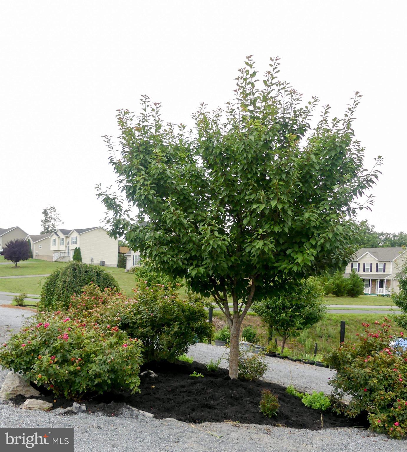 CAMERON ACRES - Residential