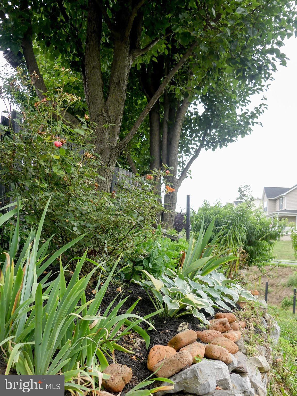 CAMERON ACRES - Residential