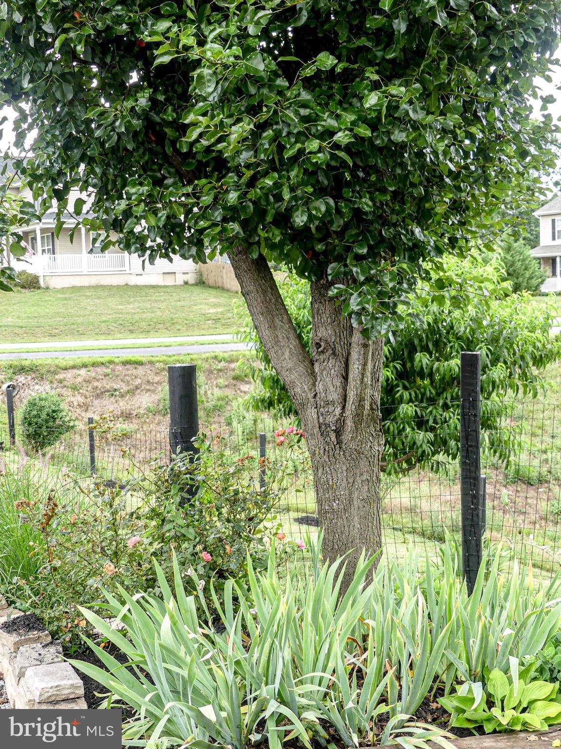 CAMERON ACRES - Residential