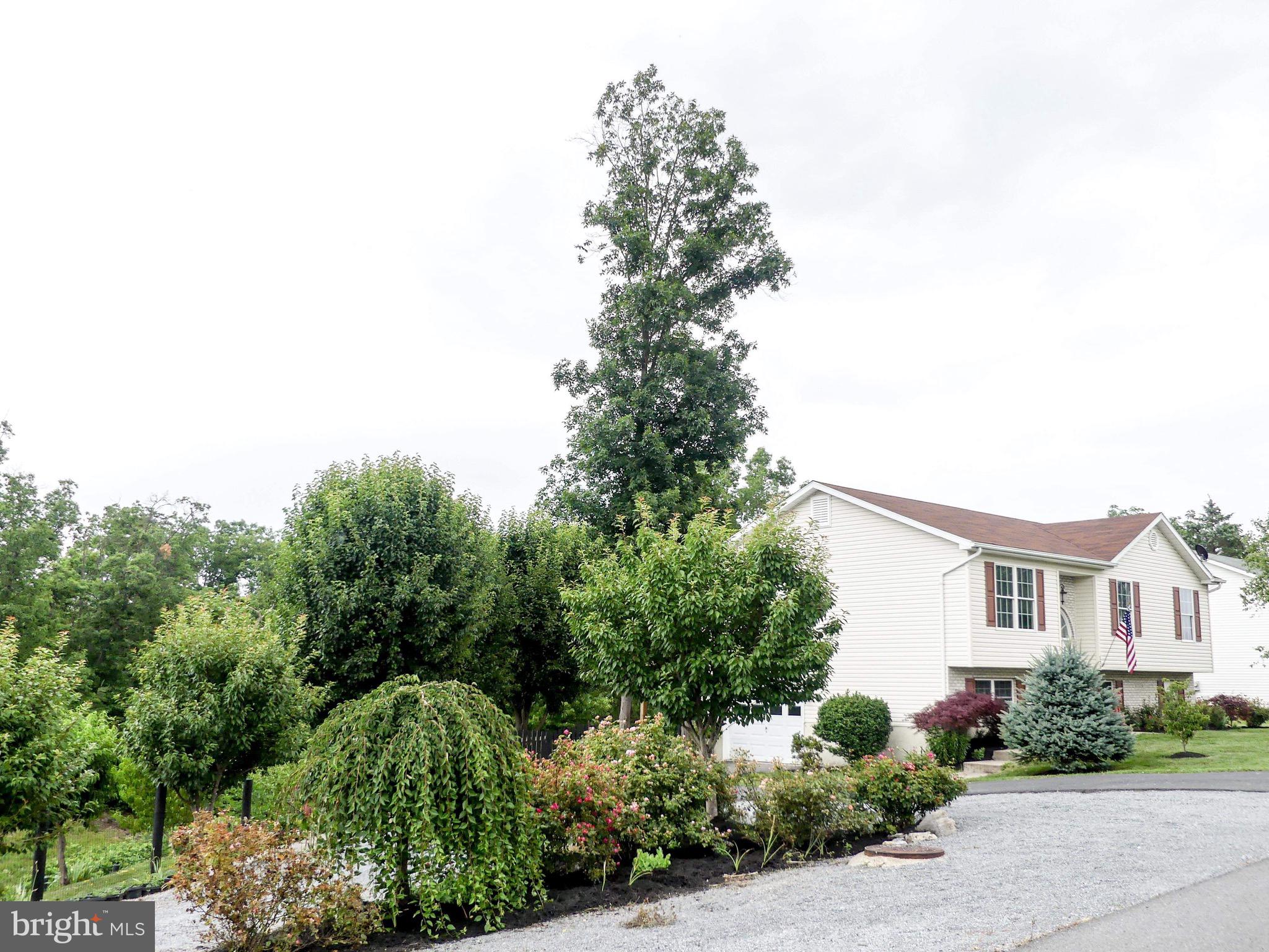 CAMERON ACRES - Residential