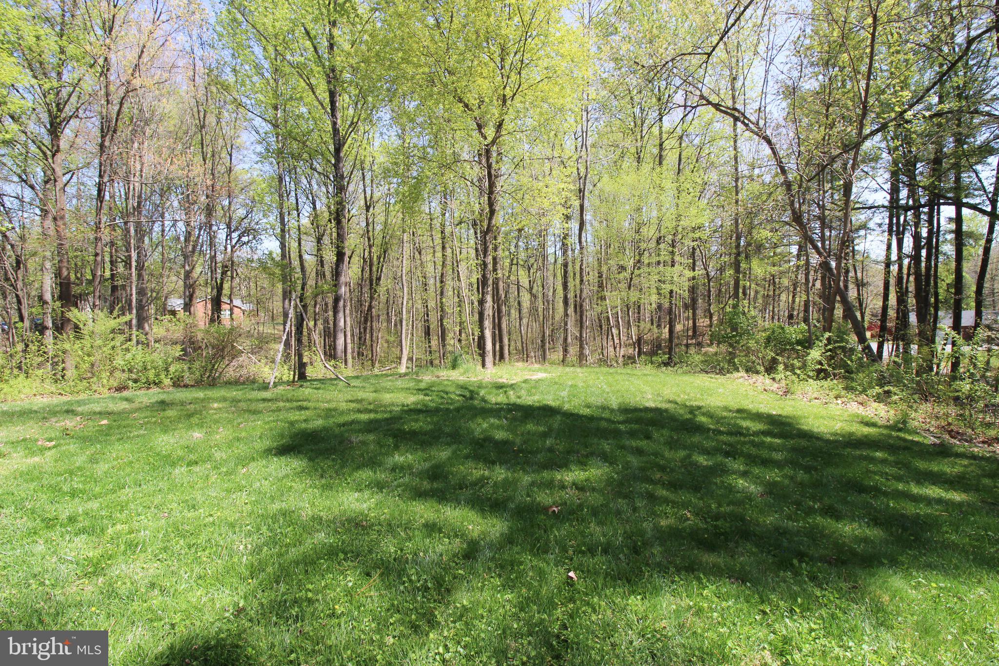 SHELTON SHOP - Residential