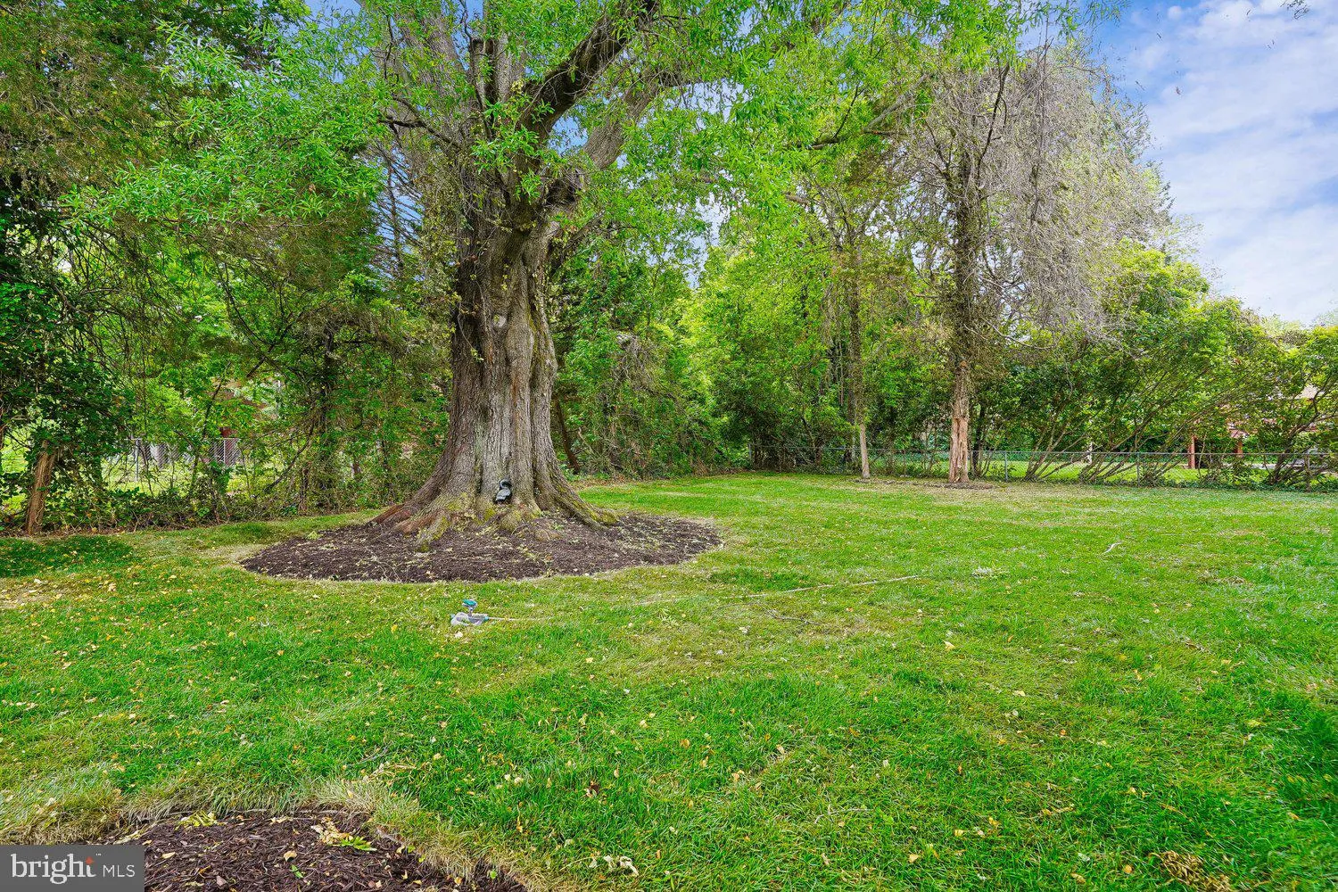 Additional image 83 of 7814 Friars Court, Alexandria, VA 22306
