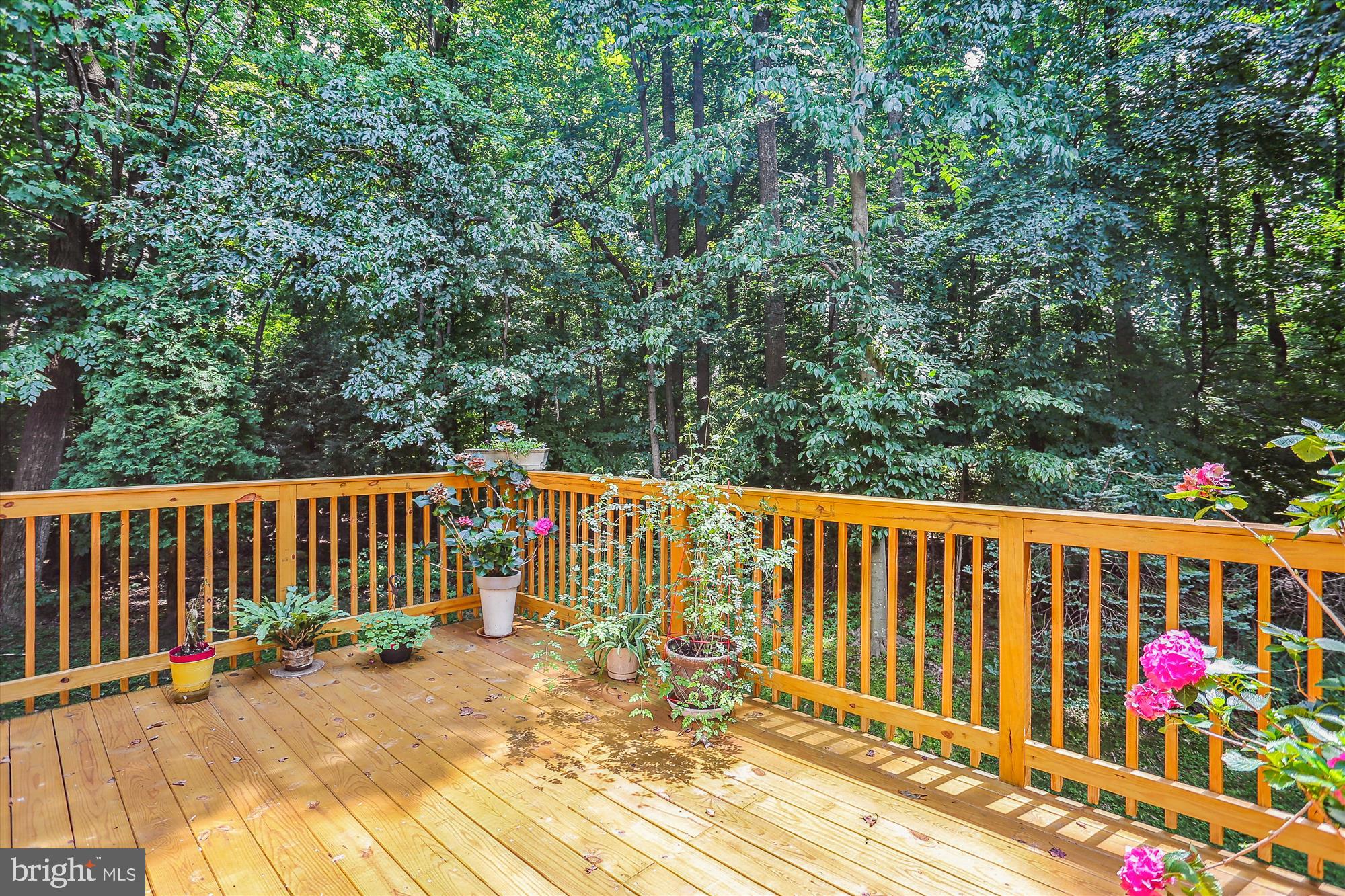 TIMBERLAWN - Residential