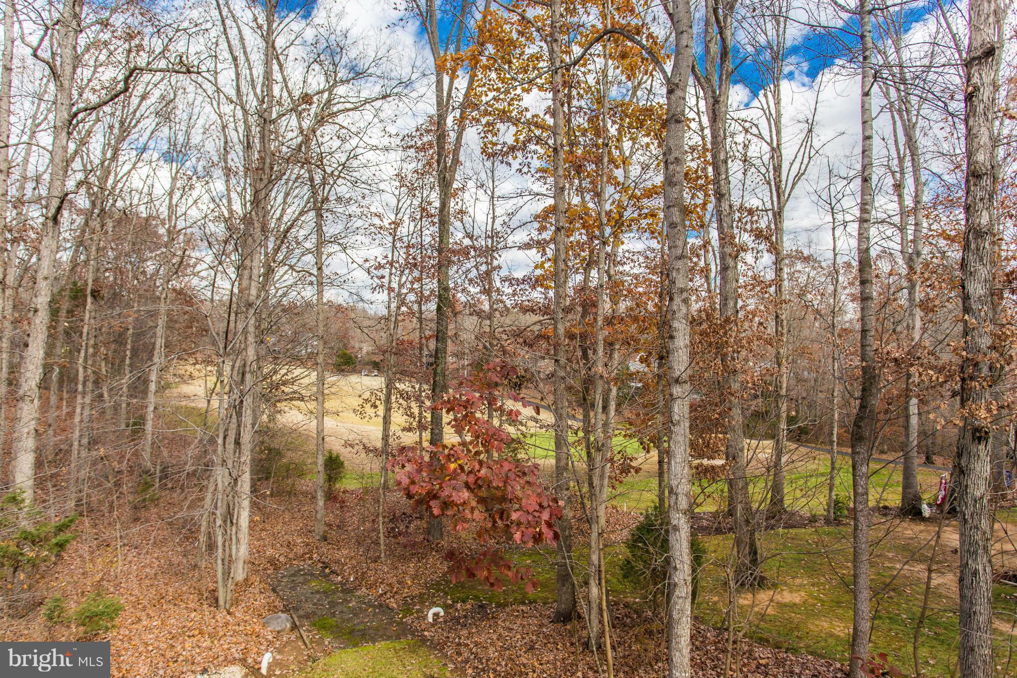 LAKE OF THE WOODS - Residential