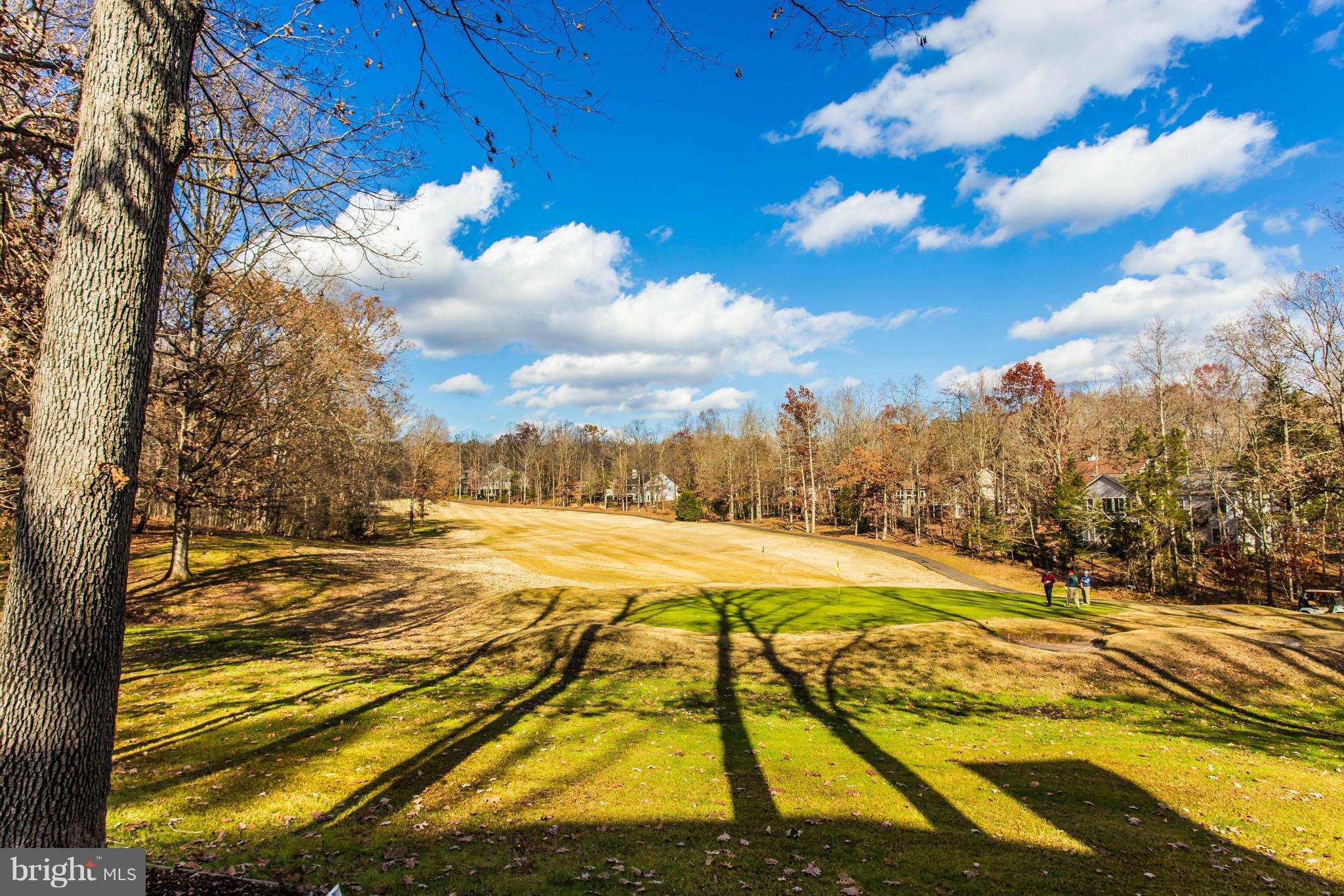 LAKE OF THE WOODS - Residential