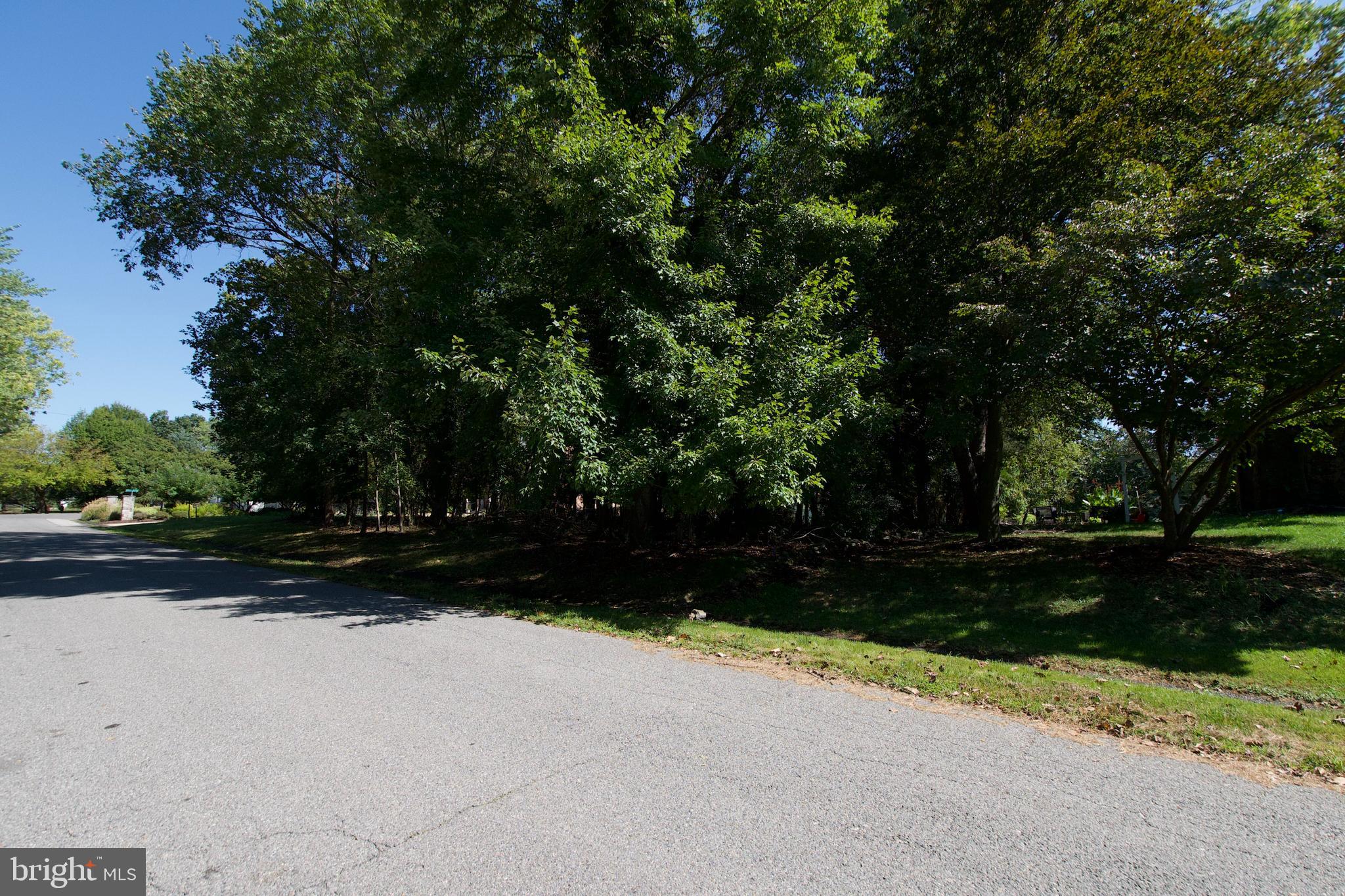 SWAN CREEK CLUB - Land