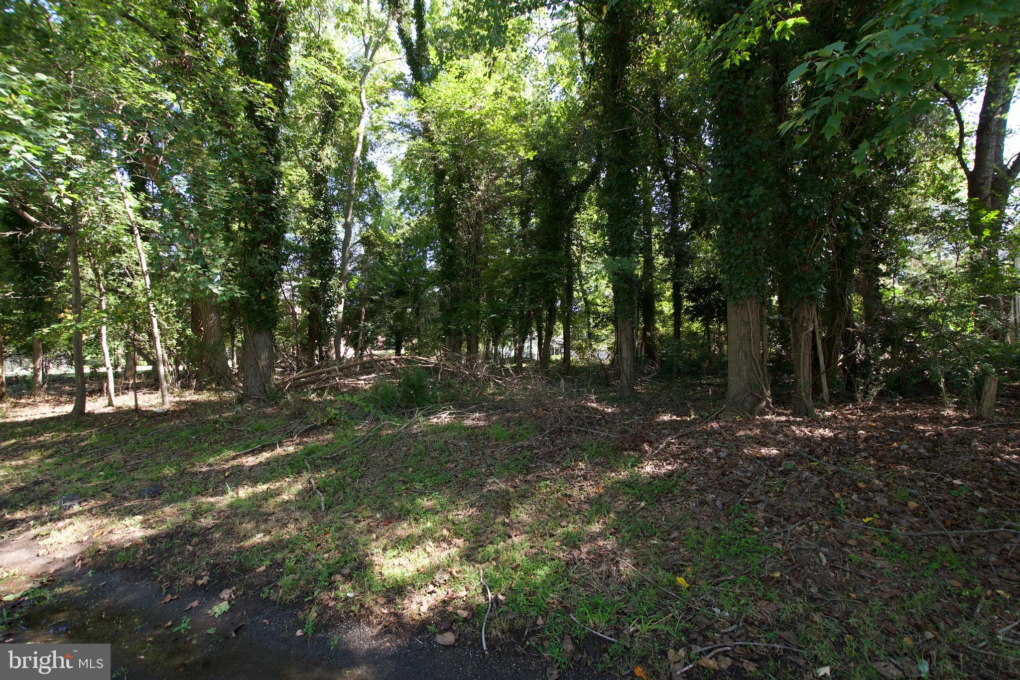 12304 HATTON POINT ROAD