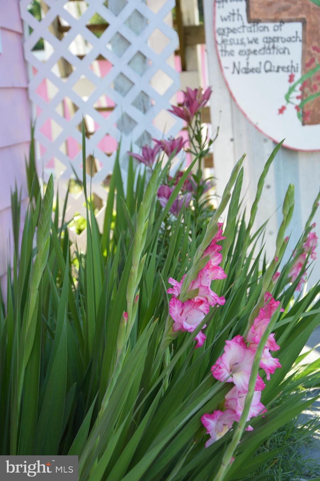 METES & BOUNDS - Residential Lease