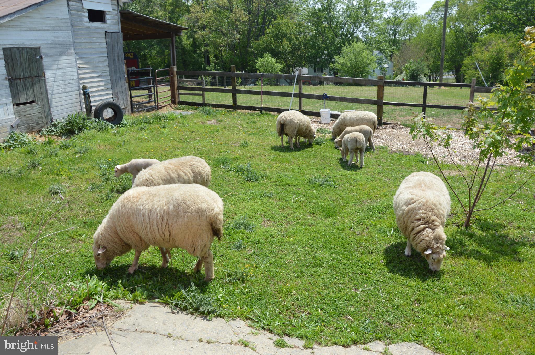 METES & BOUNDS - Residential Lease