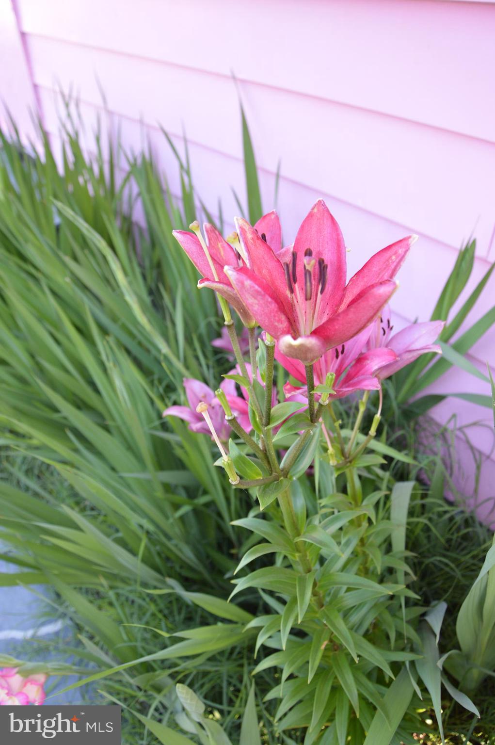 METES & BOUNDS - Residential Lease