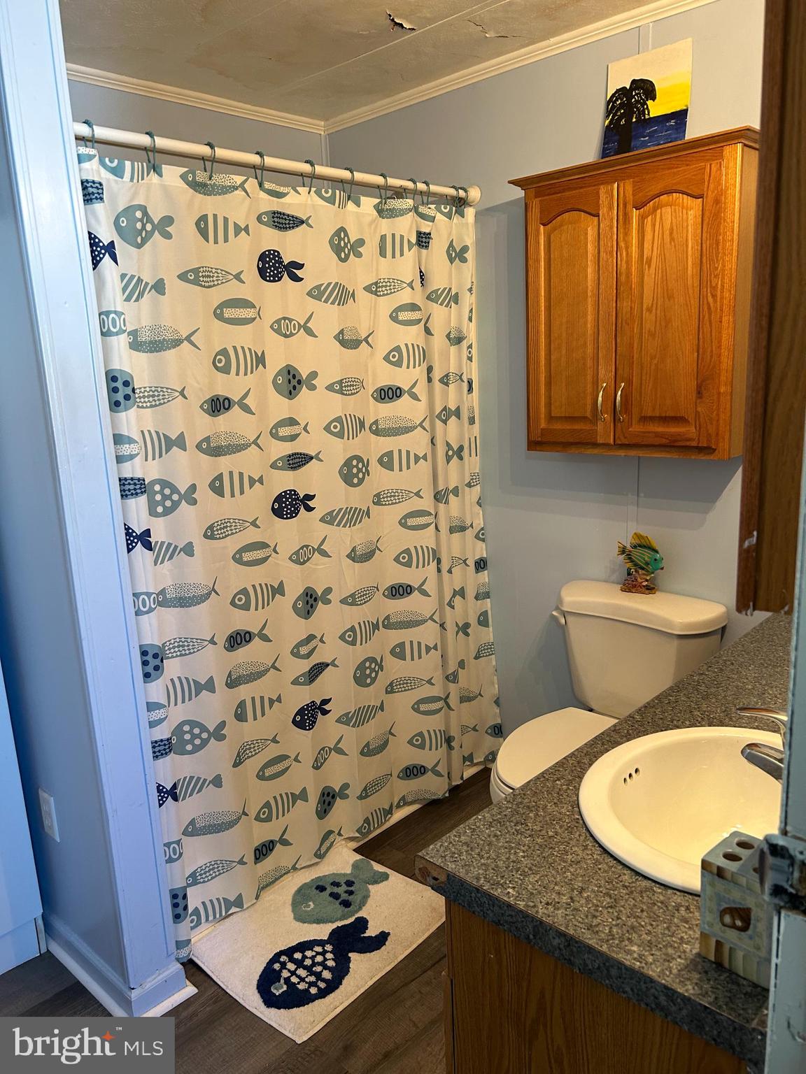 REHOBOTH SHORES MHP - Residential