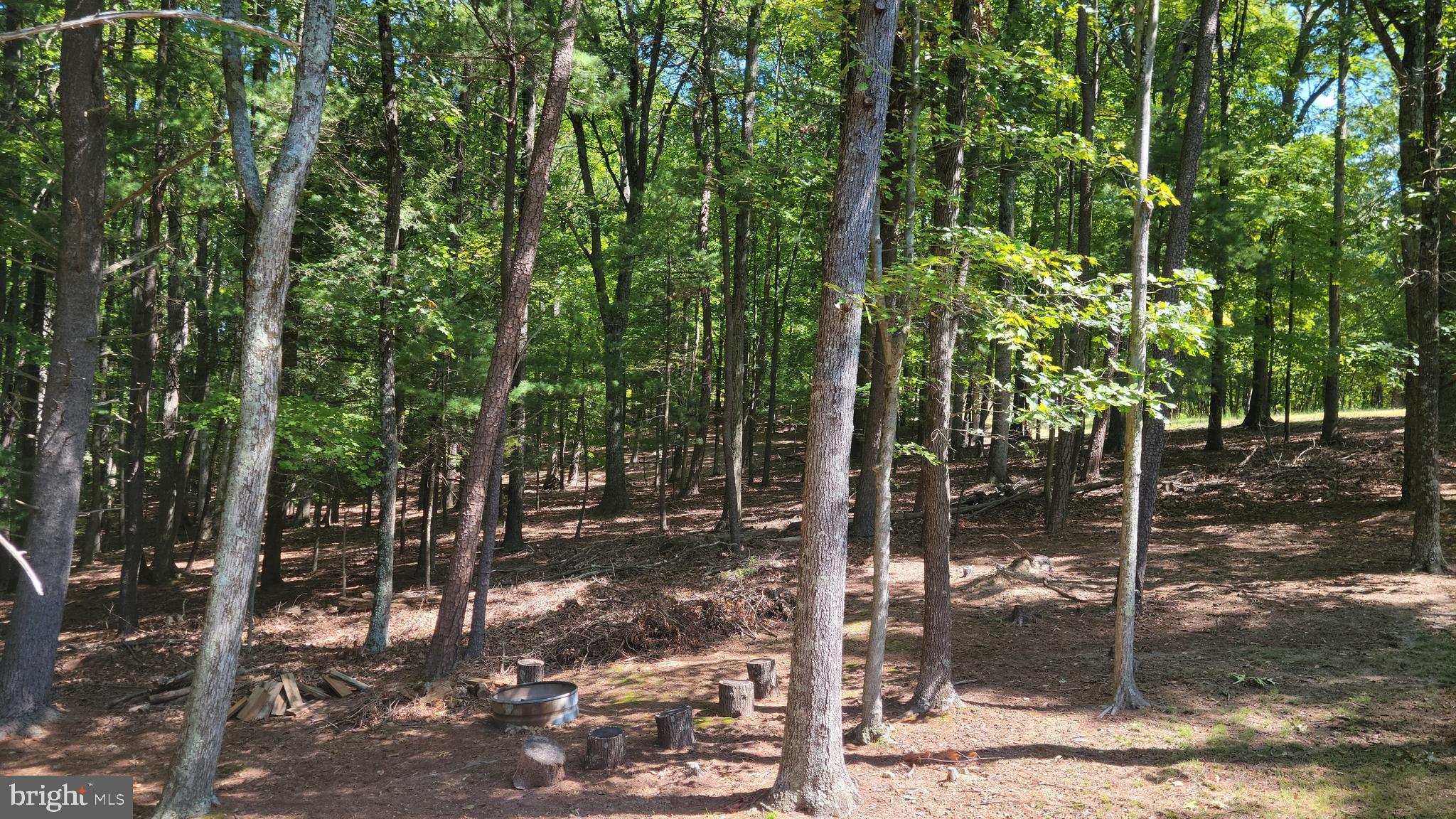 OAK FOREST - Residential