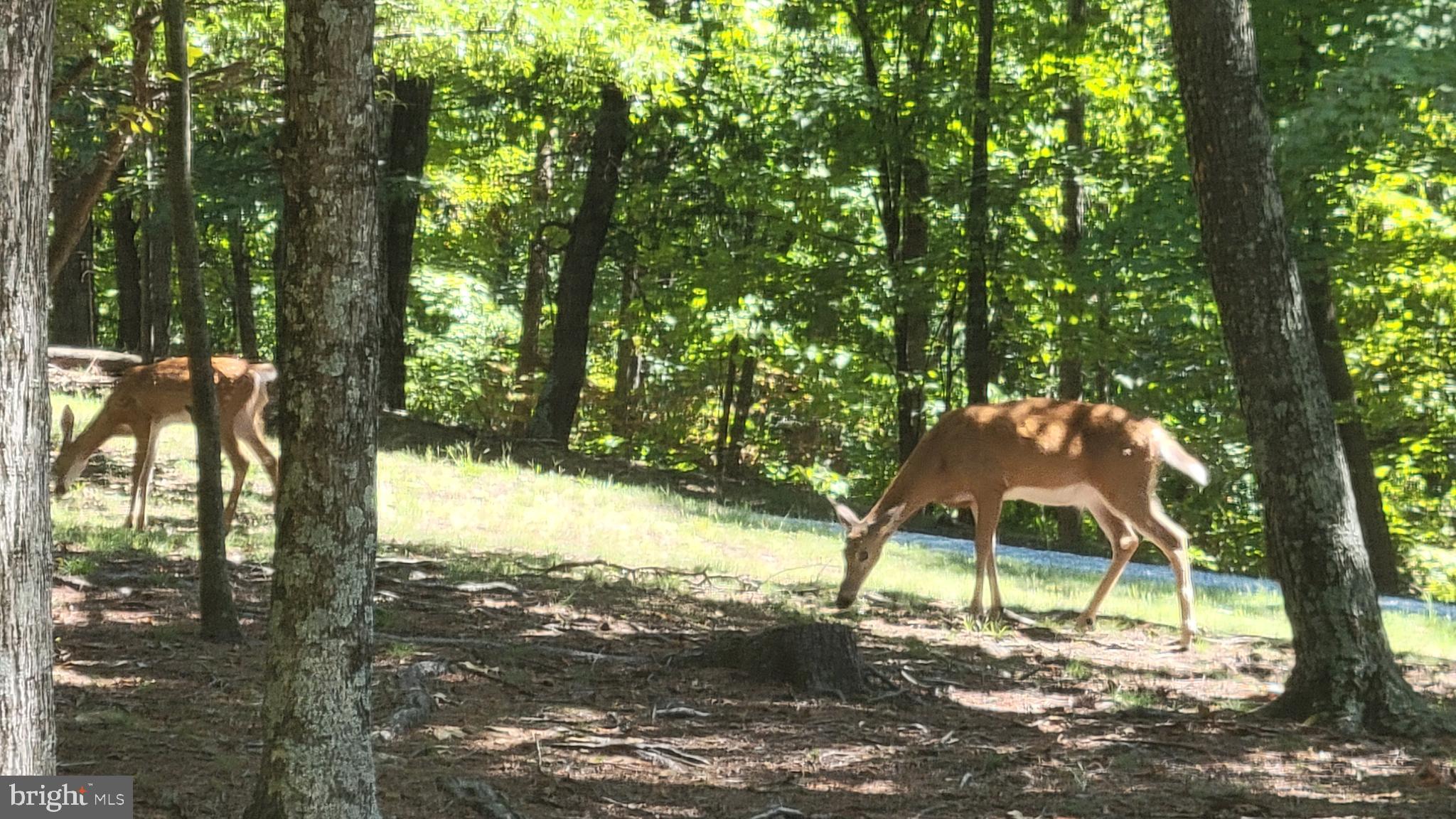 OAK FOREST - Residential