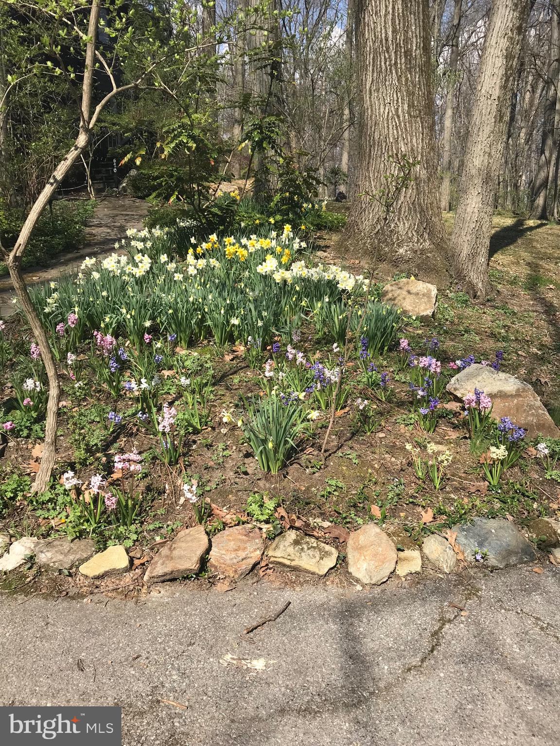 PINE RIDGE - Residential