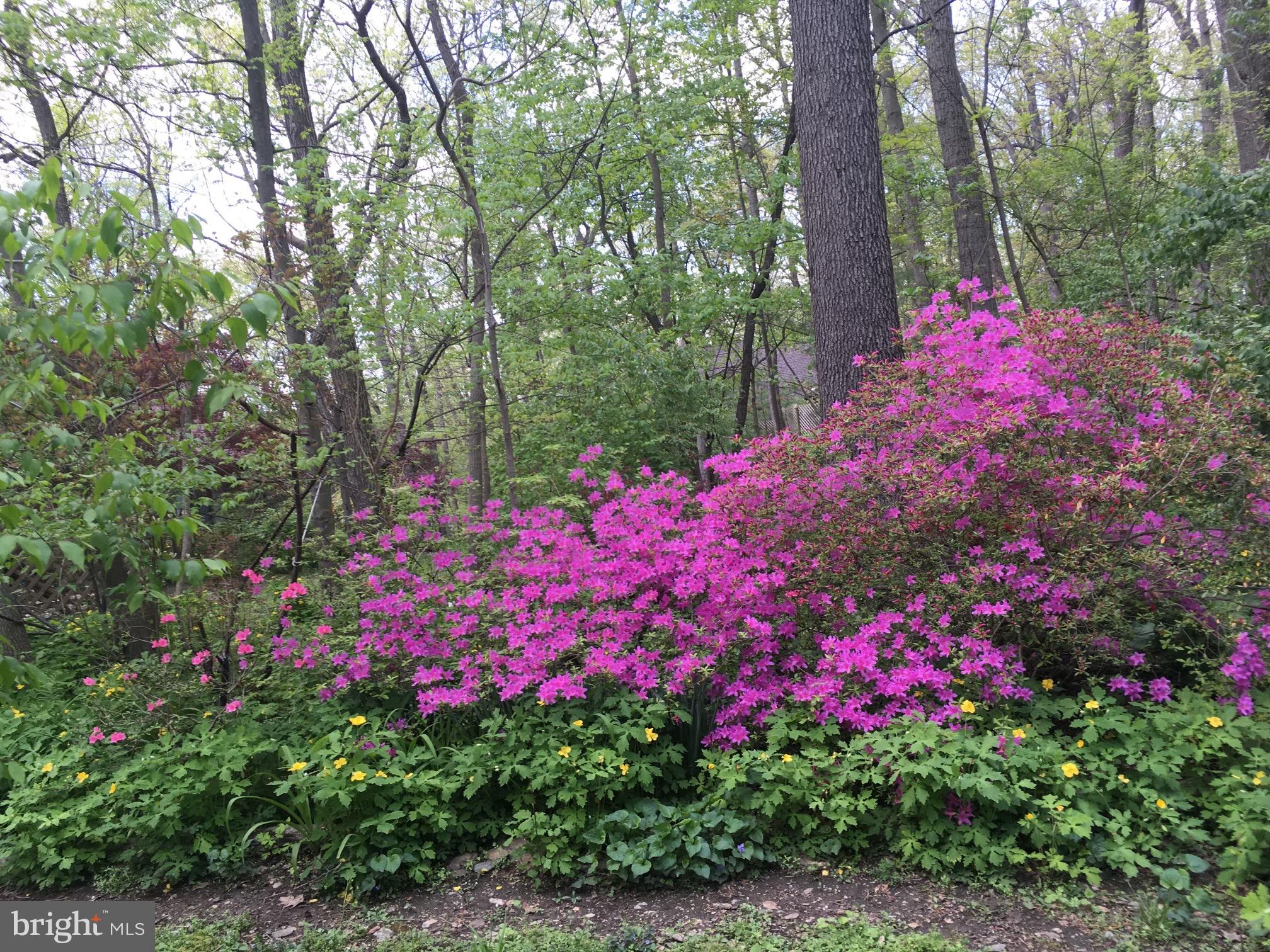 PINE RIDGE - Residential