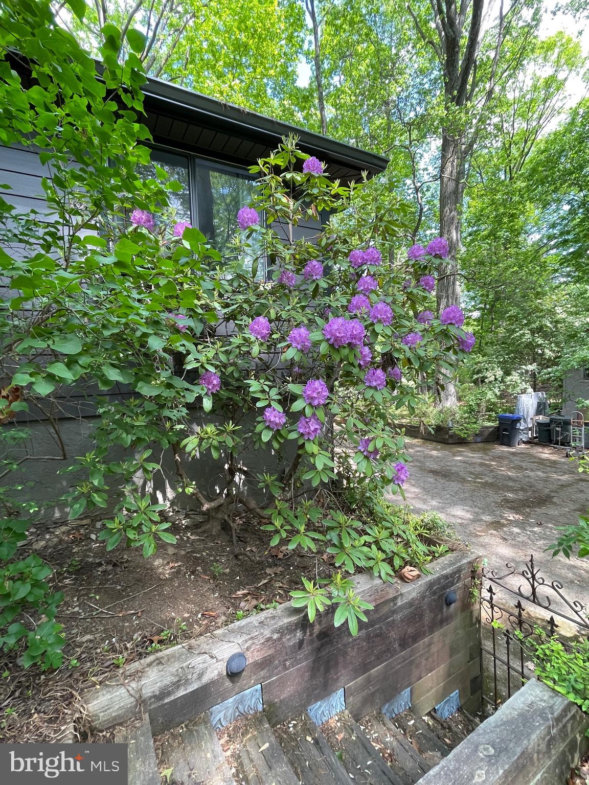 PINE RIDGE - Residential