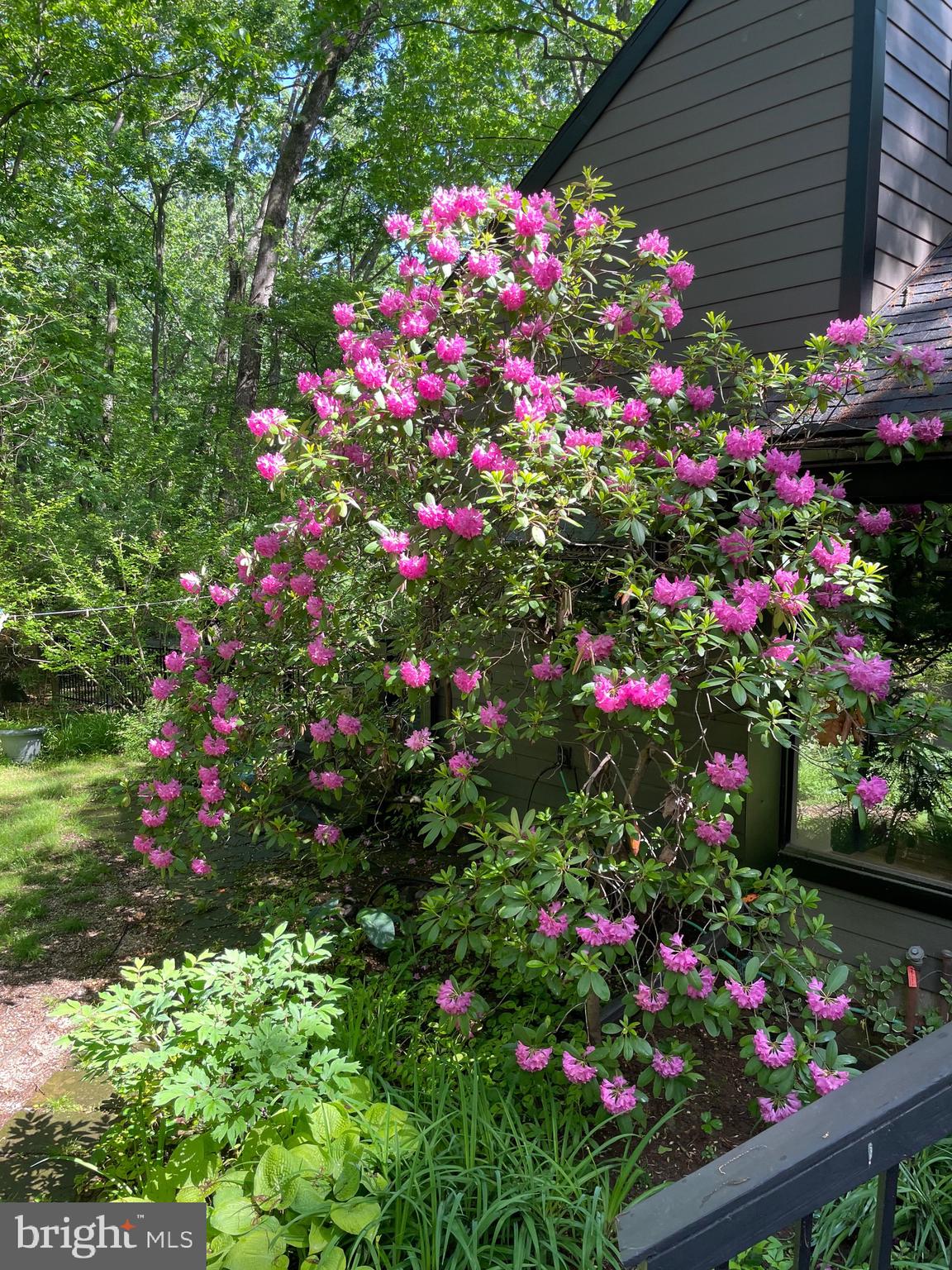 PINE RIDGE - Residential