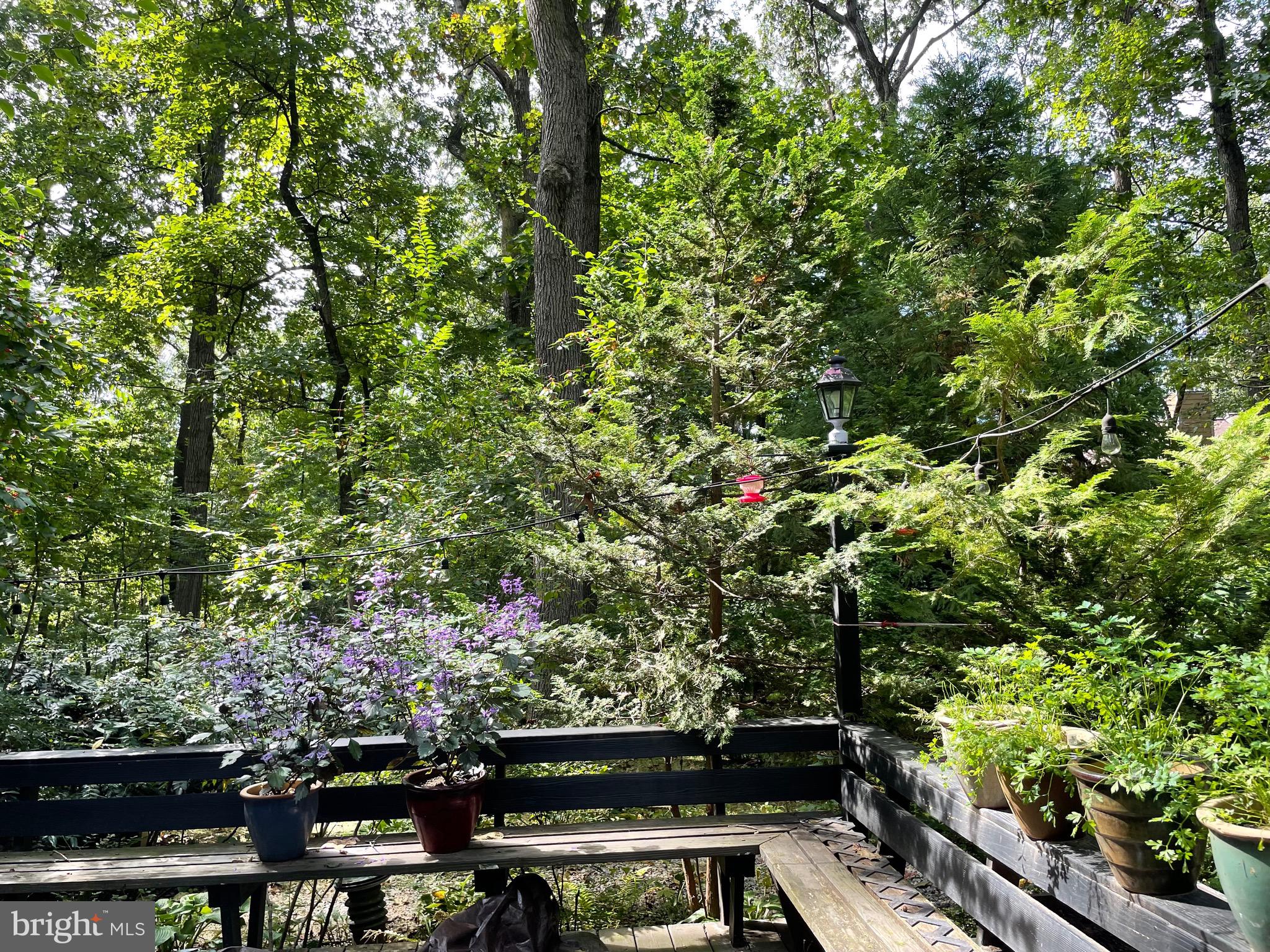 PINE RIDGE - Residential