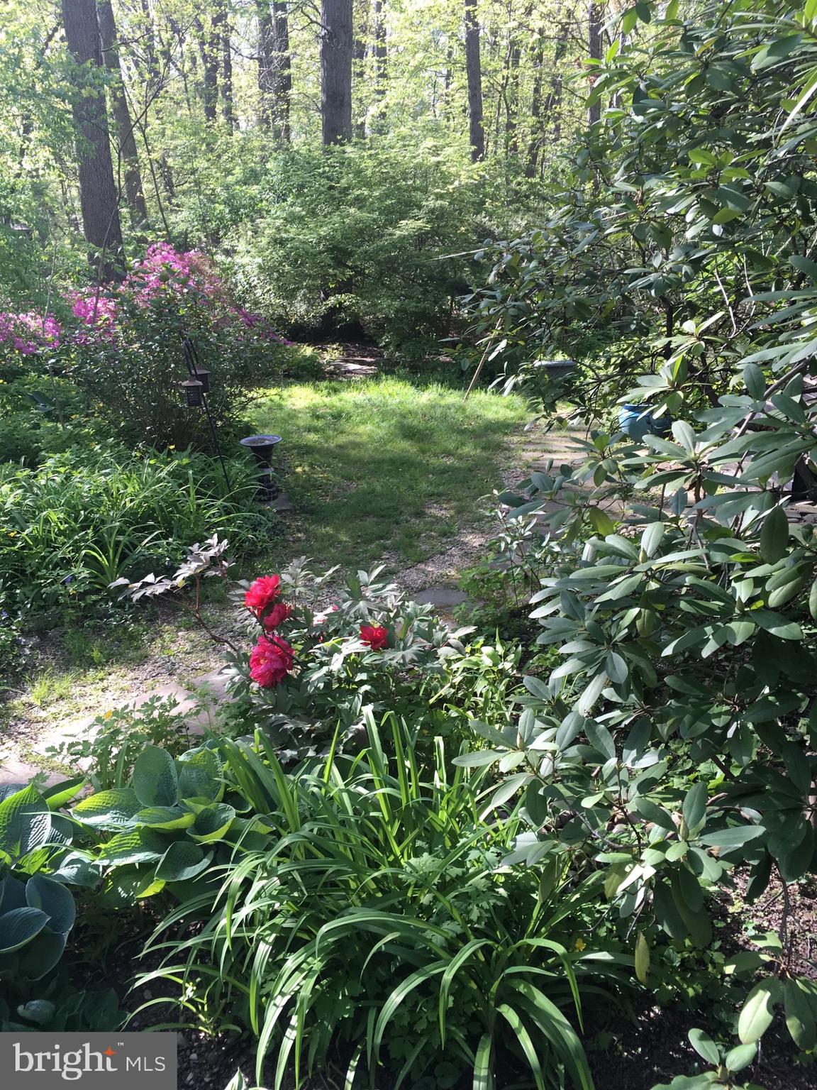 PINE RIDGE - Residential