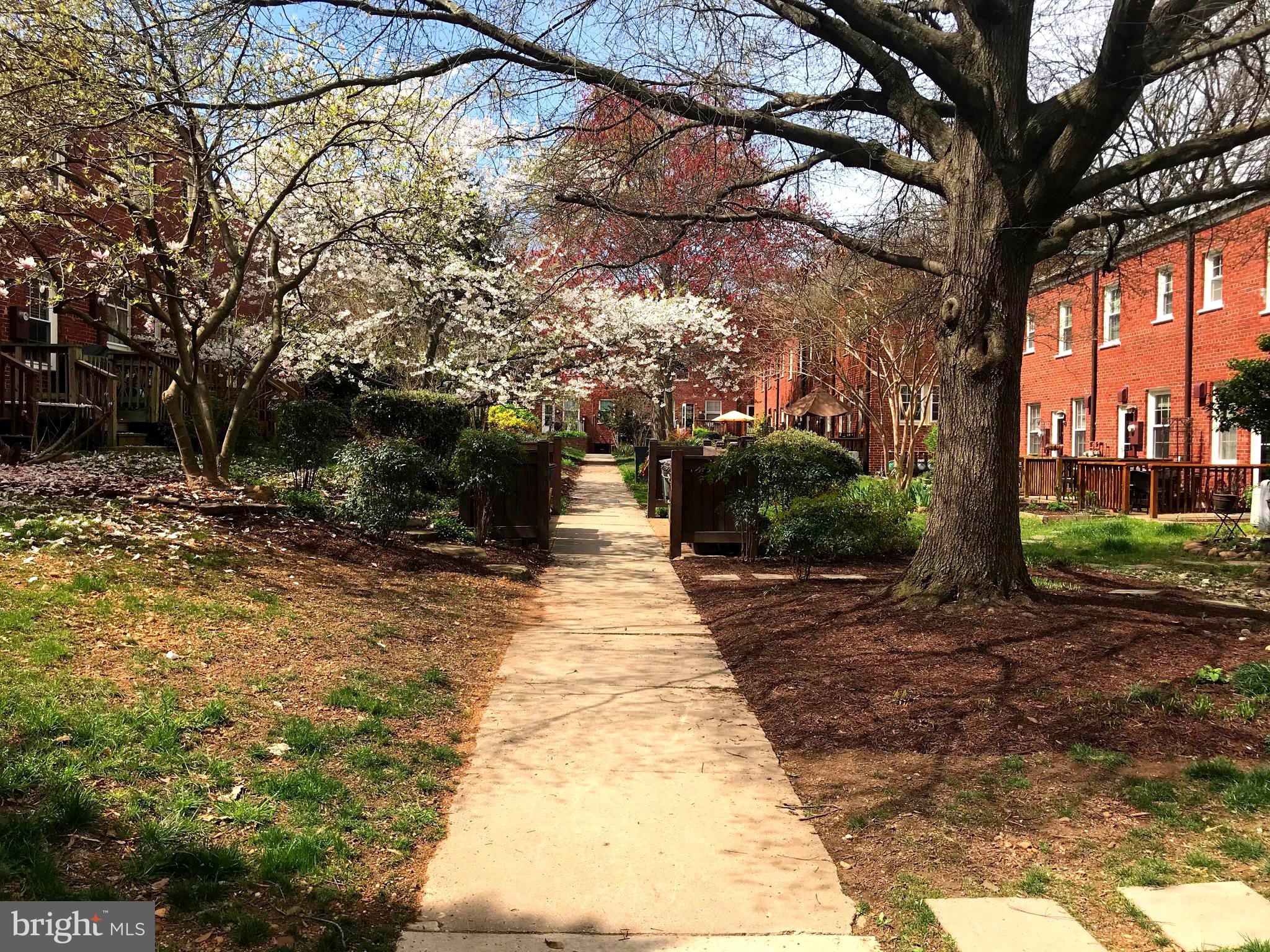 ARLINGTON VILLAGE - Residential Lease