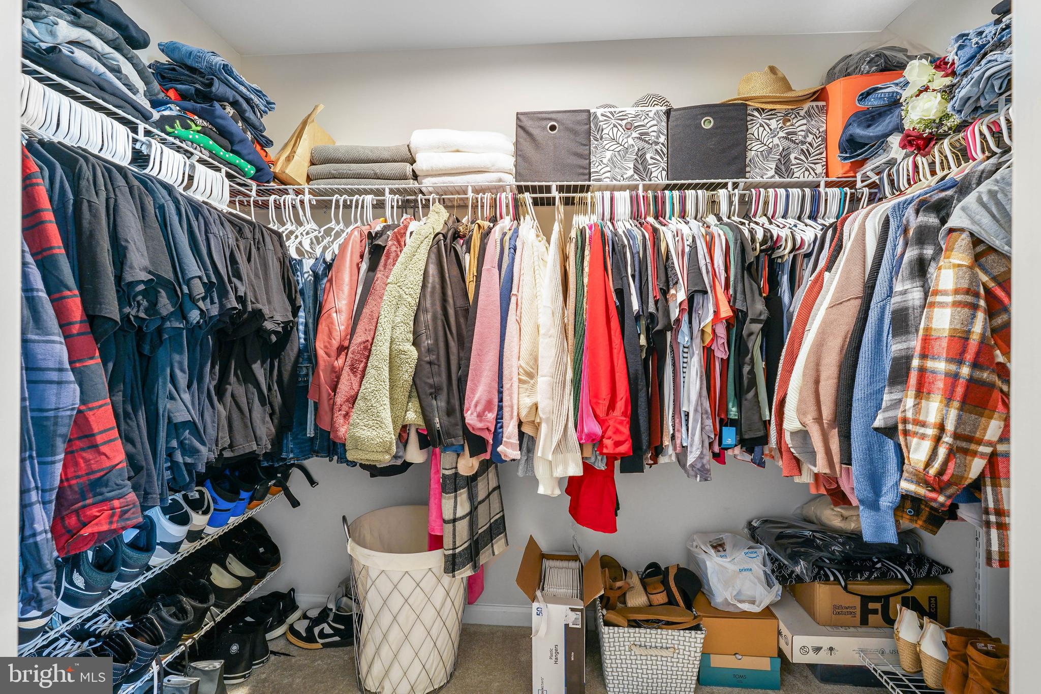 RIDGELY FOREST - Residential