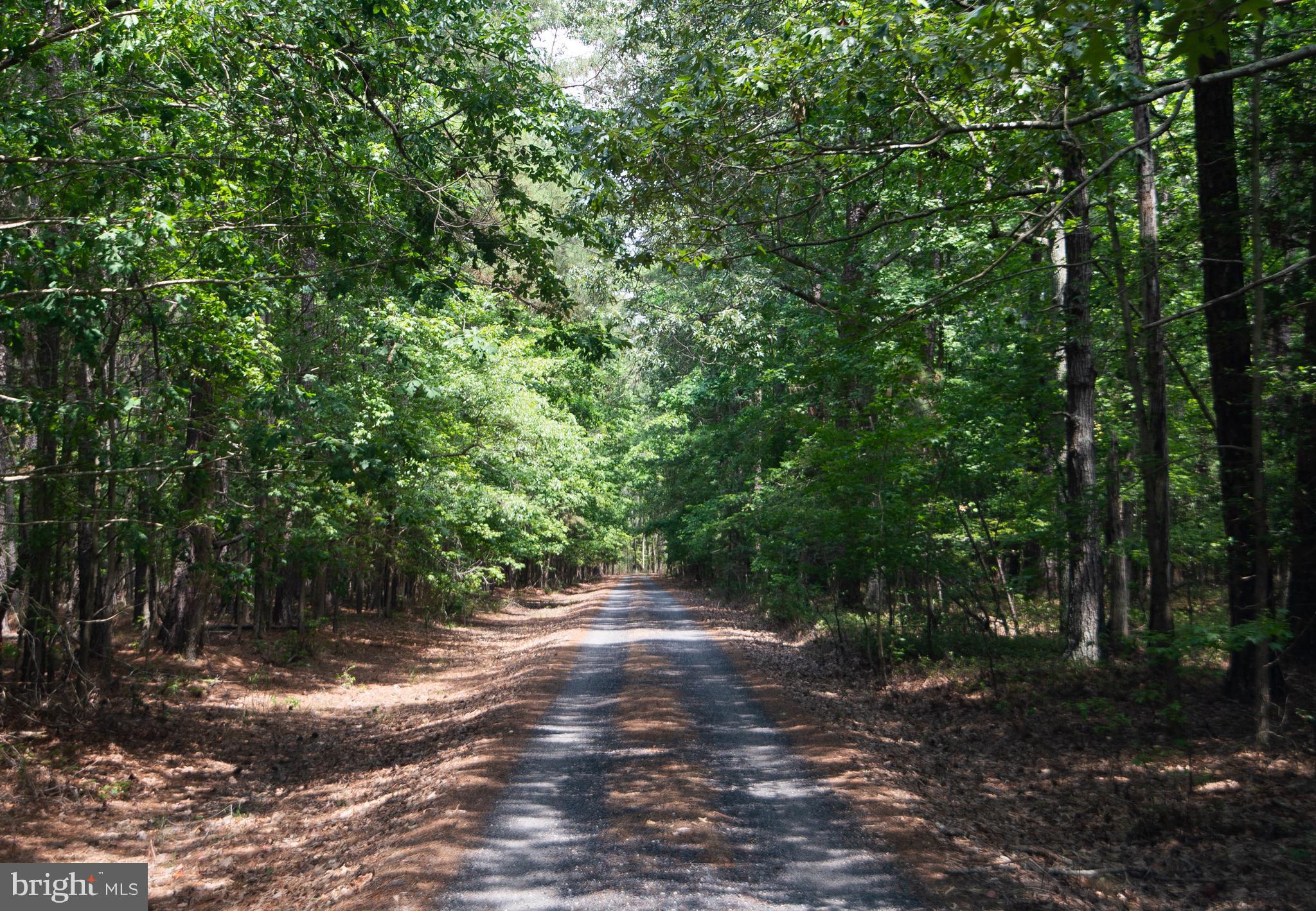5411 CASSONS NECK ROAD