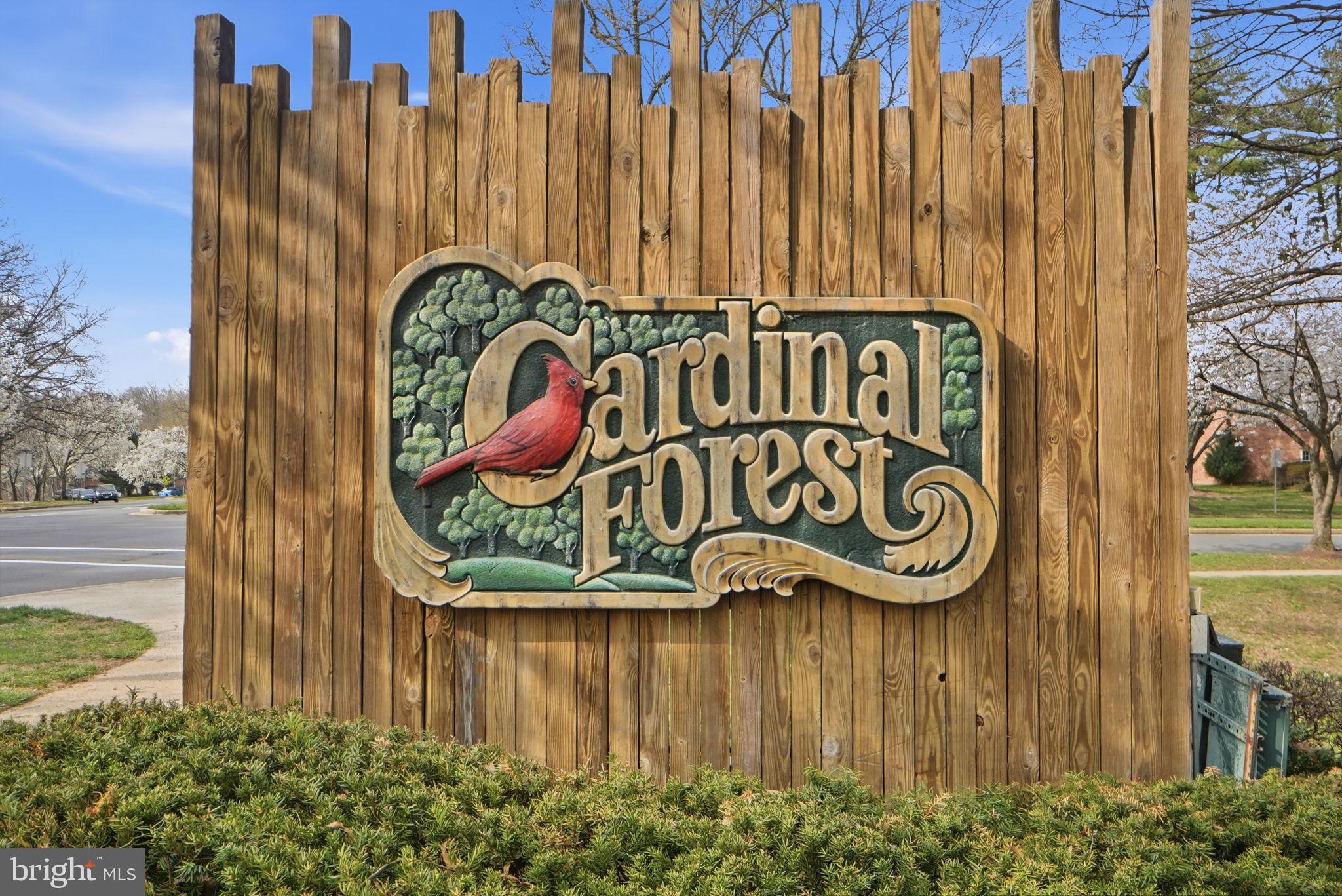 CARDINAL FOREST - Residential