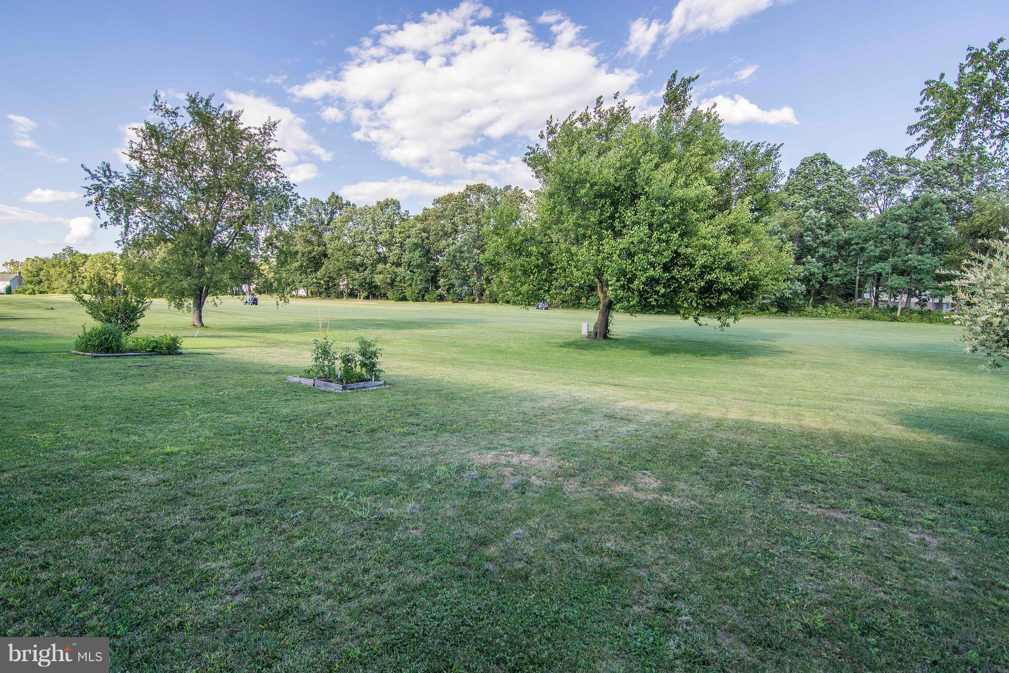 LOCUST HILL - Residential