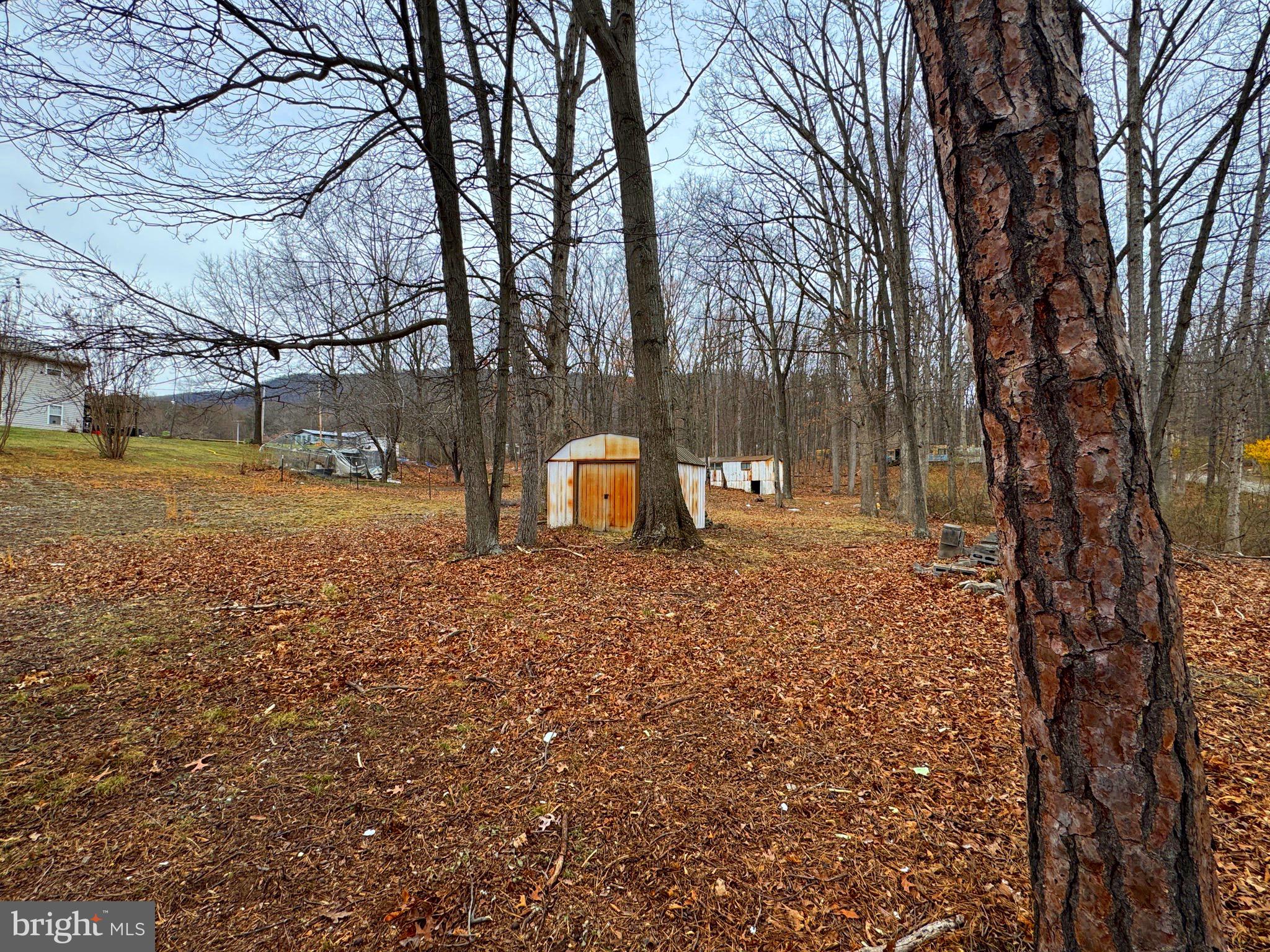 ELK HORN - Residential