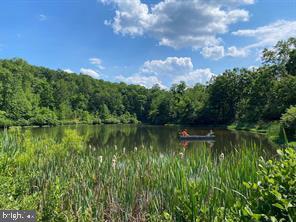 ELK HORN - Residential