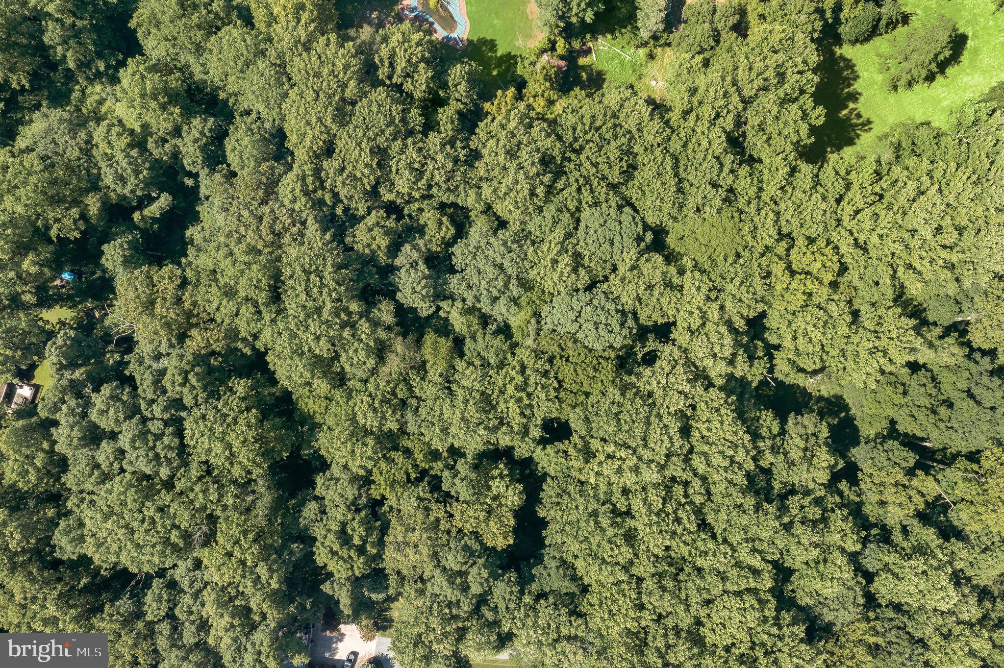Lot 31 GOLDEN OAK DRIVE