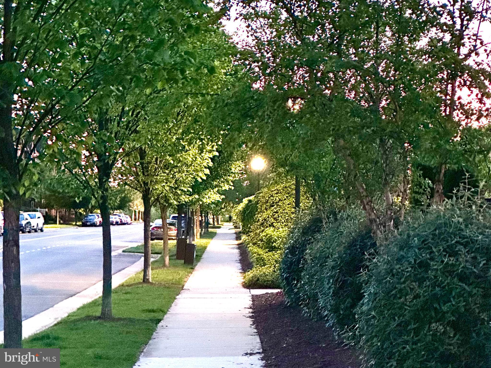 WESTMOORE AT MOOREFIELD - Residential