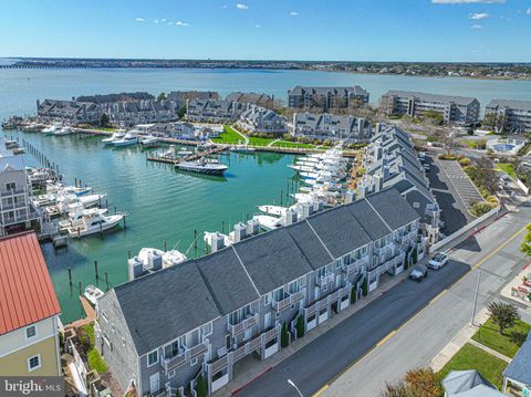 401 S 14TH STREET 4 OCEAN CITY MD 21842