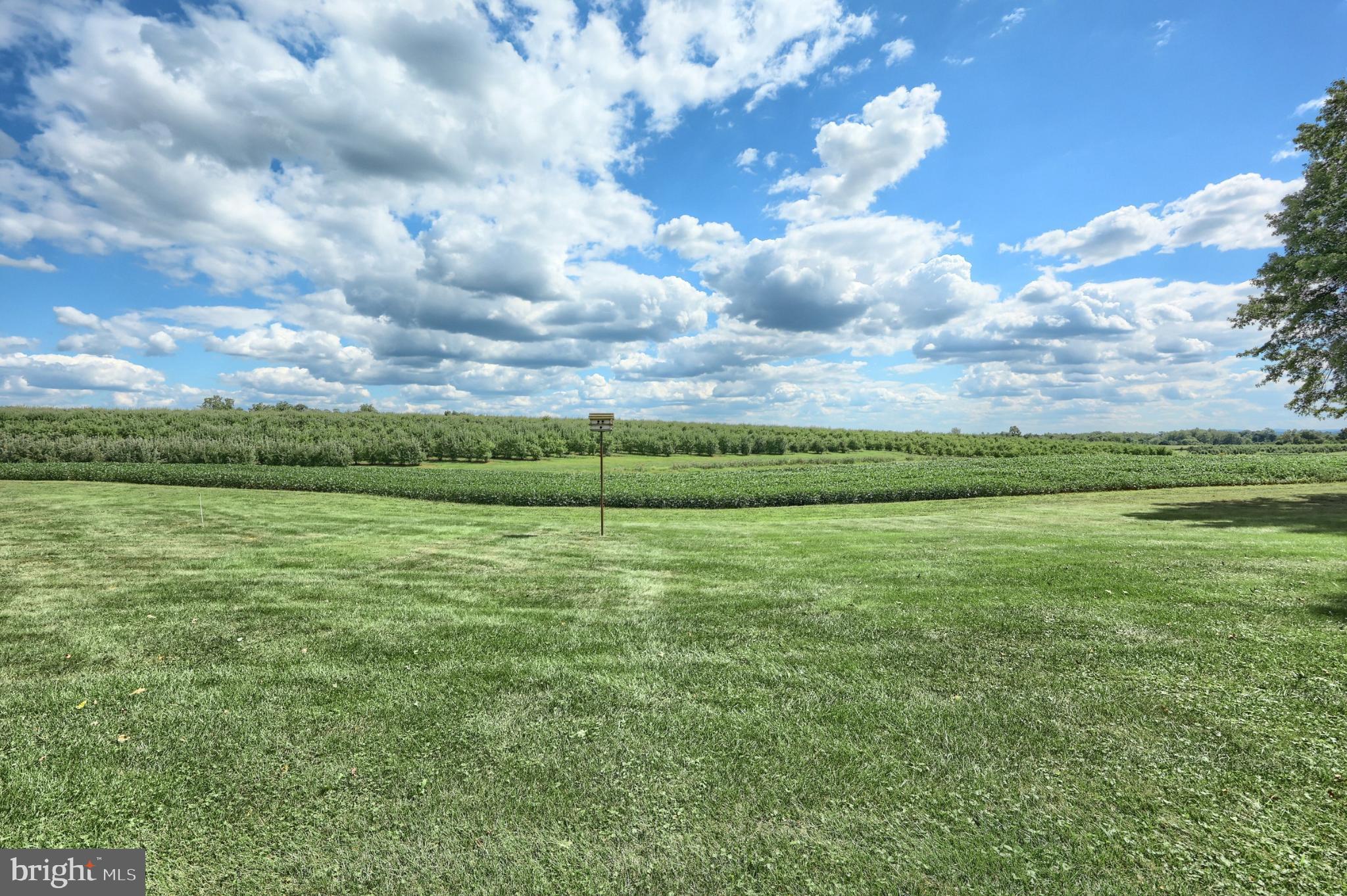 BUTLER TOWNSHIP - Residential