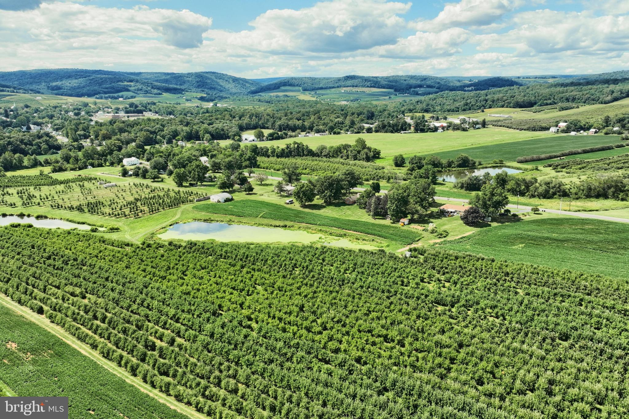 BUTLER TOWNSHIP - Residential