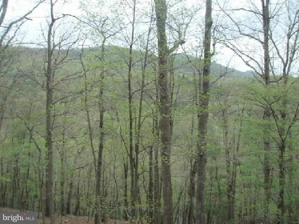 RIVER RIDGE - Residential