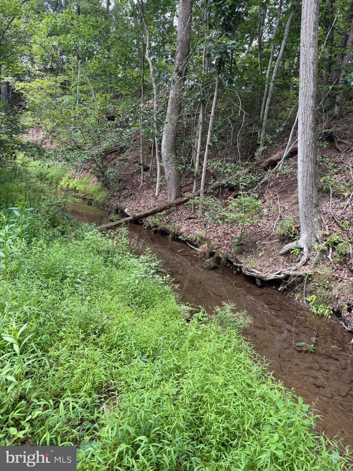 80 LAMBS GAP ROAD