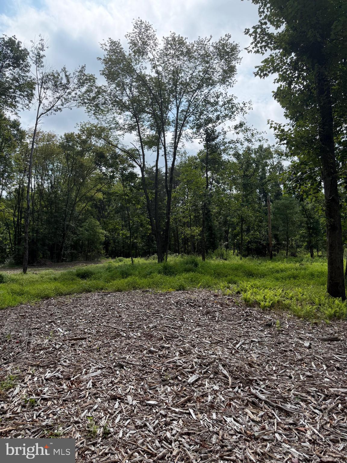80 LAMBS GAP ROAD