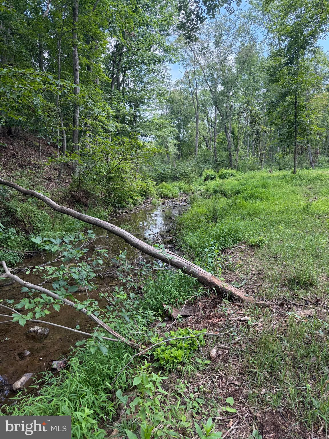 80 LAMBS GAP ROAD