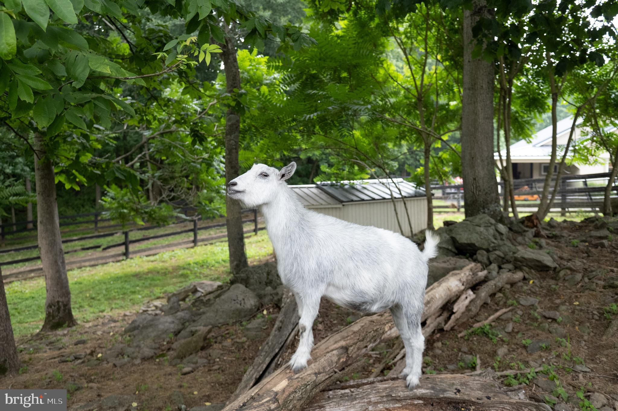 PAPER CHASE FARM - Residential