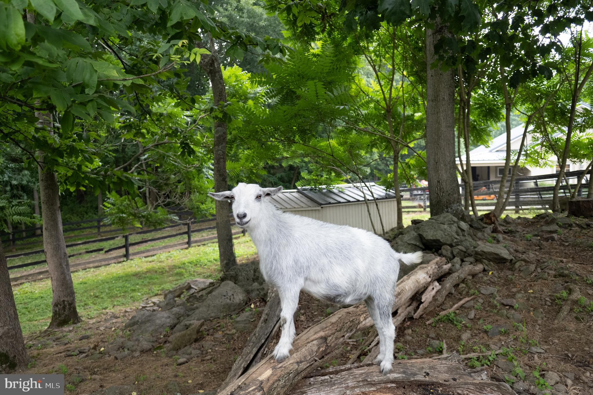 PAPER CHASE FARM - Residential