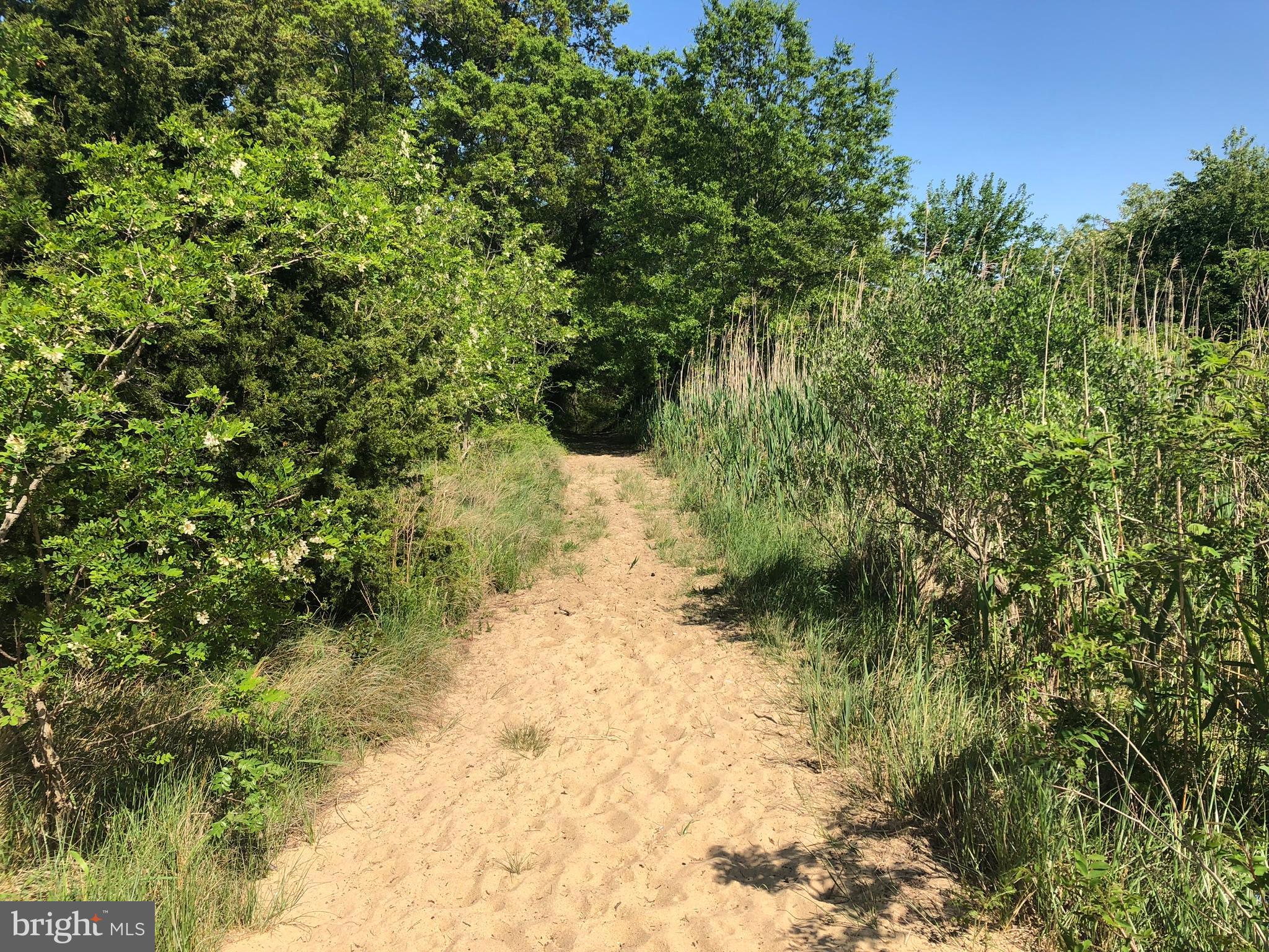 TOWER GARDENS - Residential