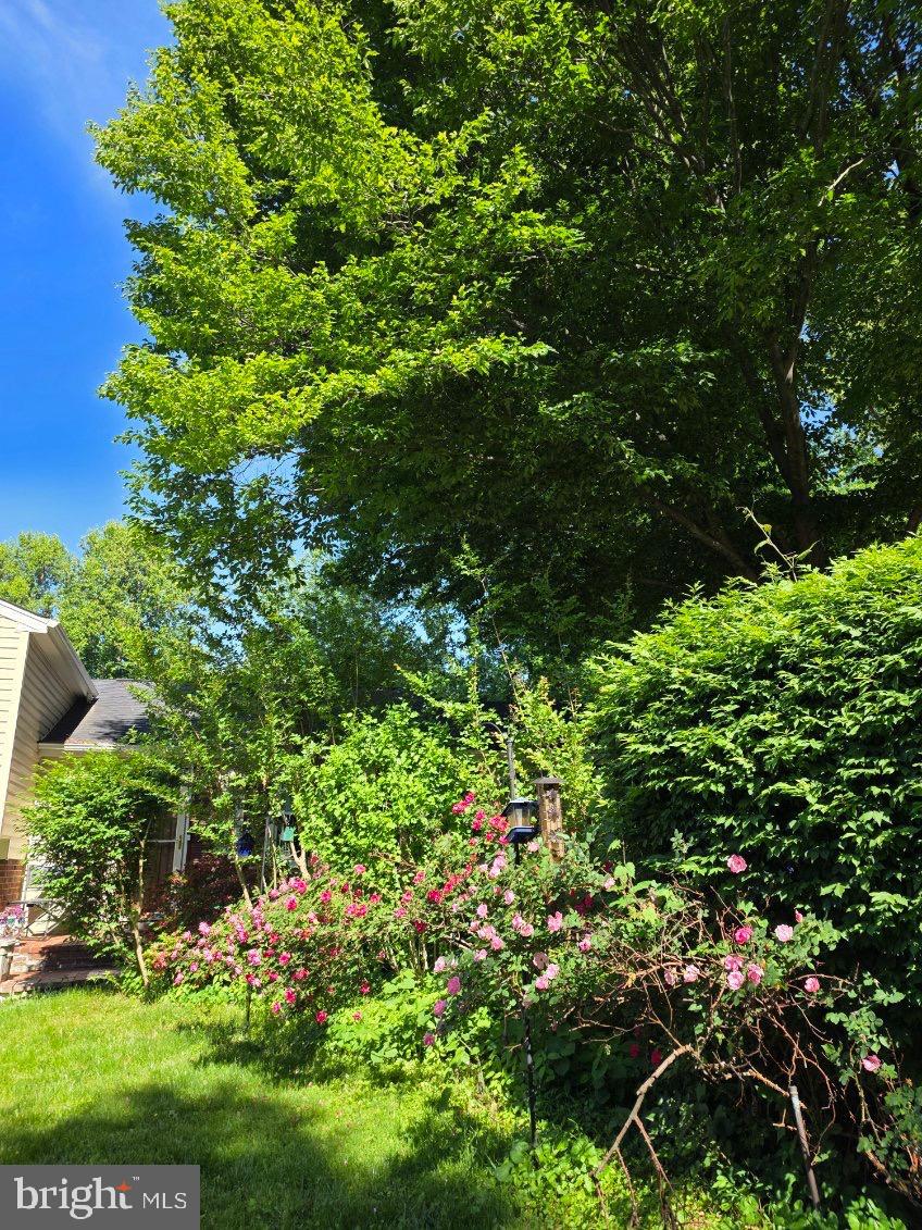 BRADFIELD - Residential