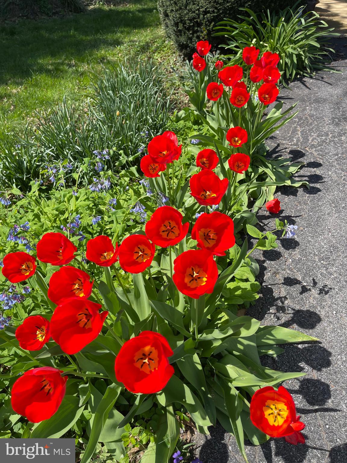 PARK HEIGHTS - Residential