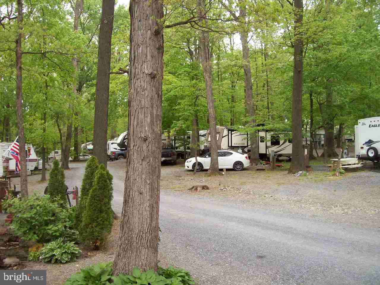 NONE AVAILABLE - Commercial Sale