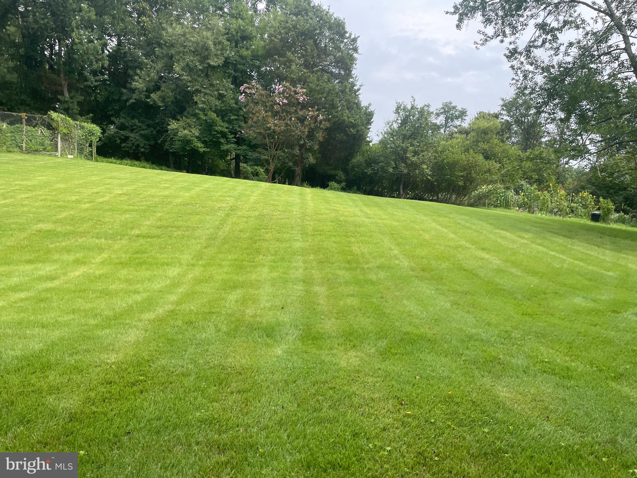 SHERWOOD FOREST - Residential Lease