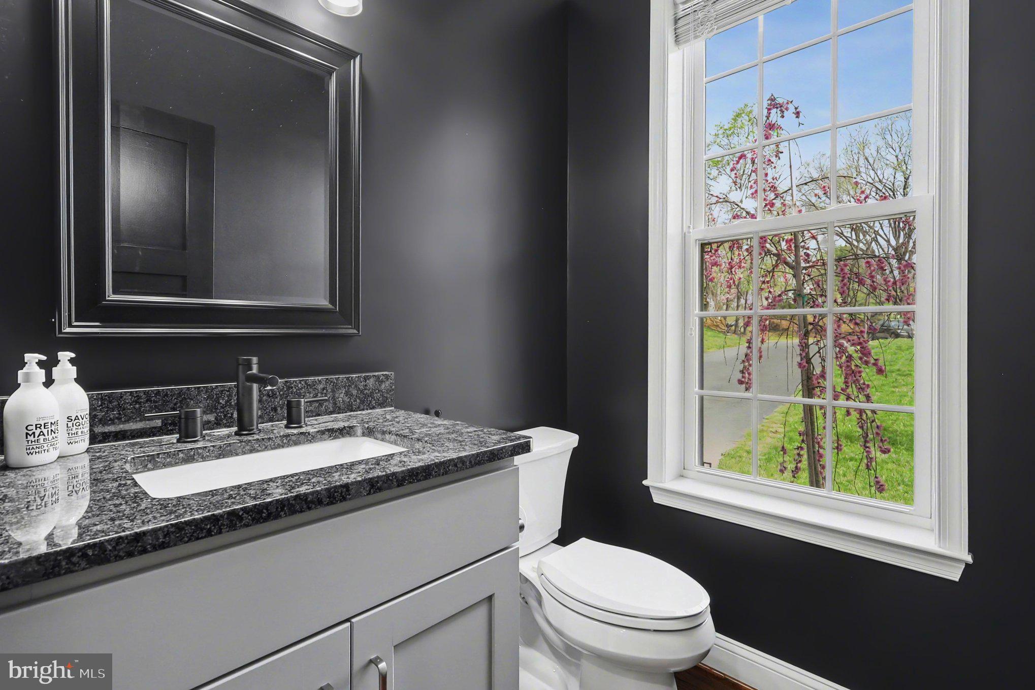 MOUNTAIN VIEW - Residential