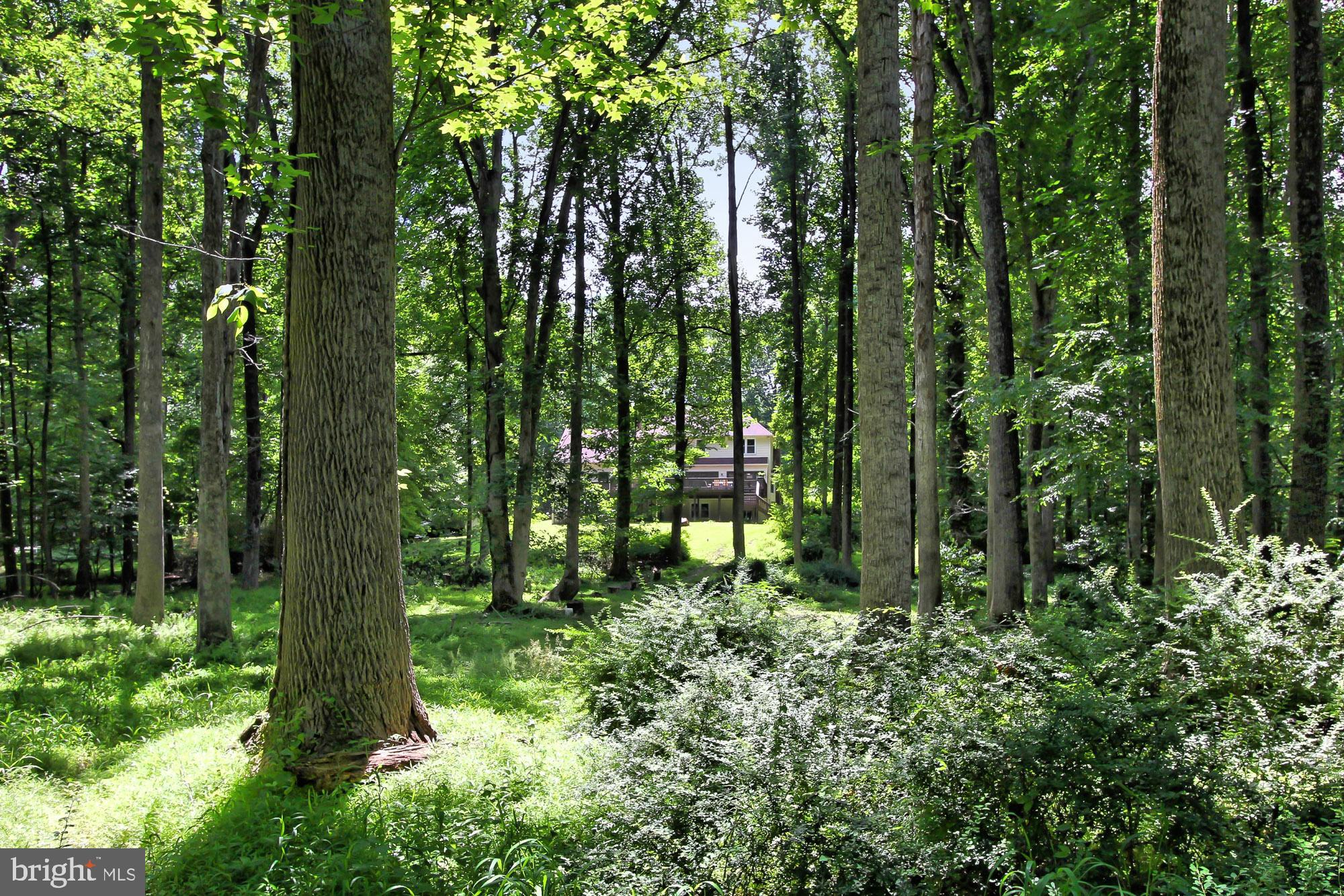 ASHTON - Residential