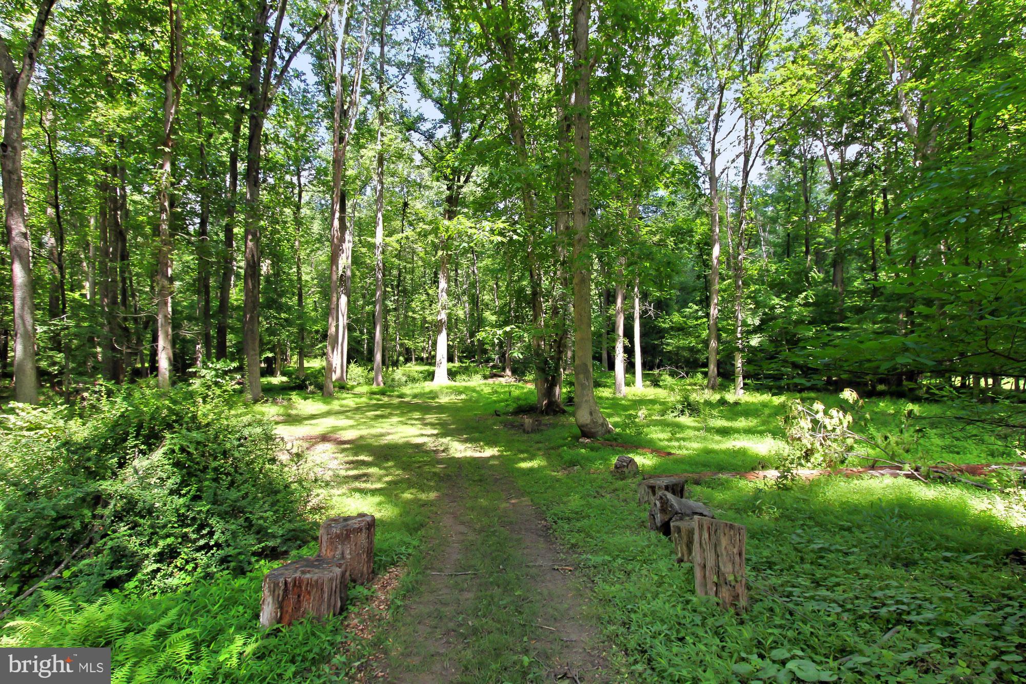 ASHTON - Residential