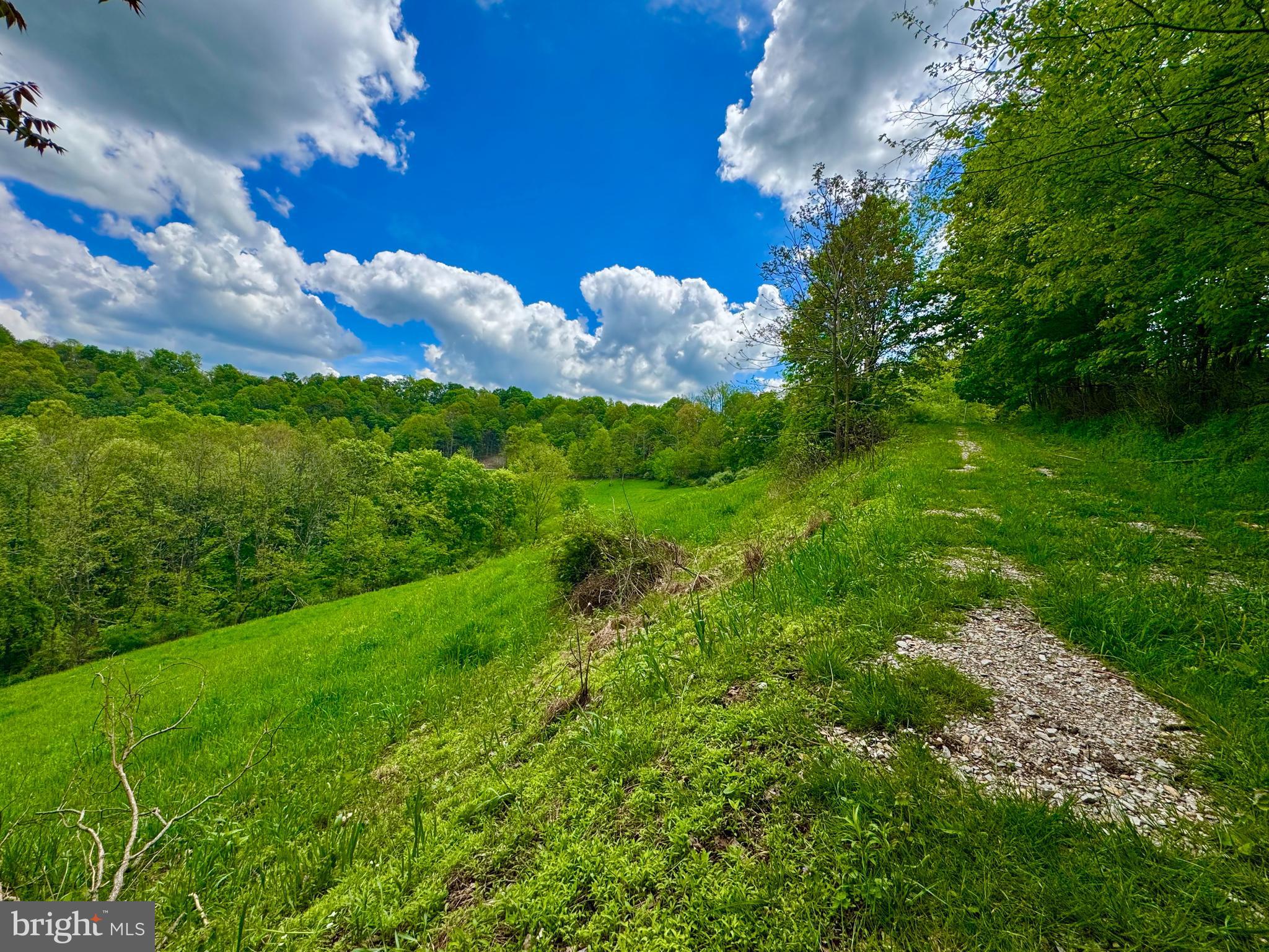 14451 PROCTOR CREEK ROAD